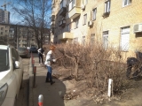 Subbotniki-26